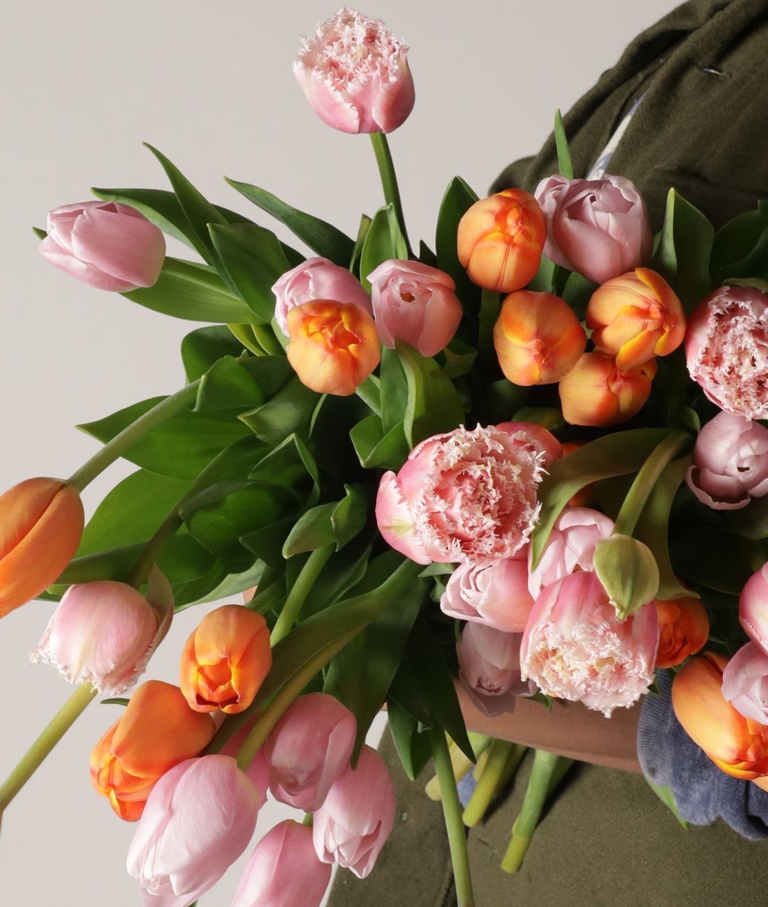 Let’s Talk Tulips thumbnail