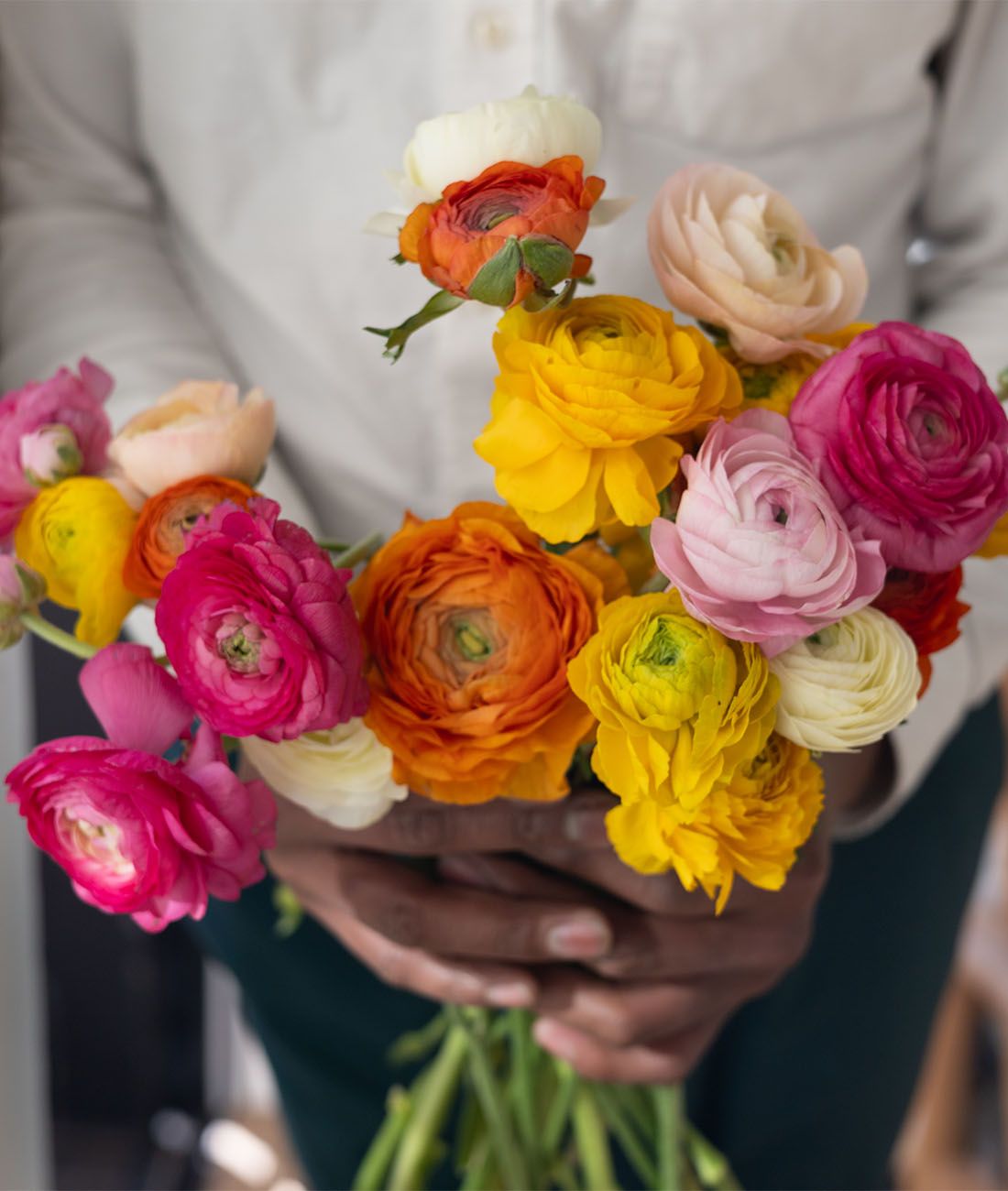 Ranunculus_Care_Spring_2024_2.jpg