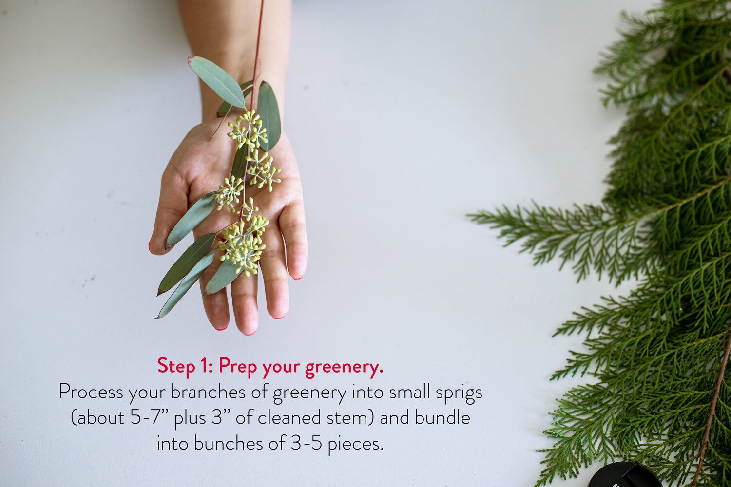 Step_1.jpg